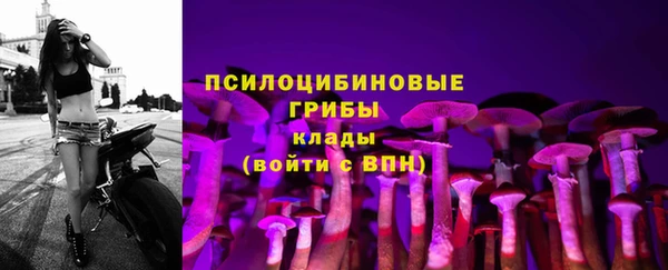 прущая мука Армянск
