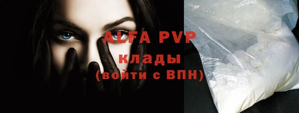 spice Новодвинск