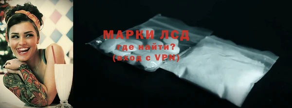 твердый Новозыбков