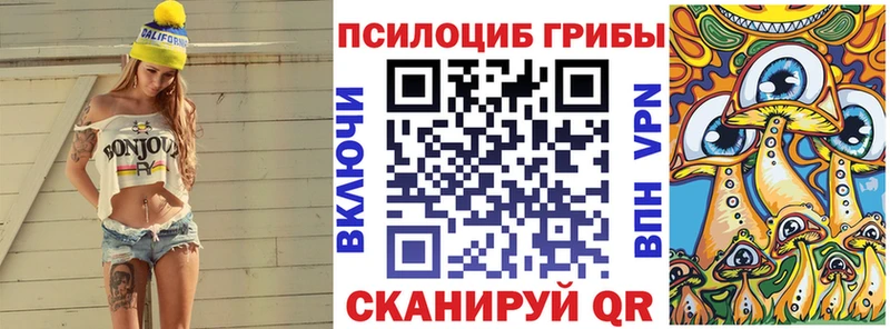 гидра как войти Сольвычегодск Псилоцибиновые грибы прущие грибы