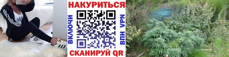 Канабис Bruce Banner  Сольвычегодск 